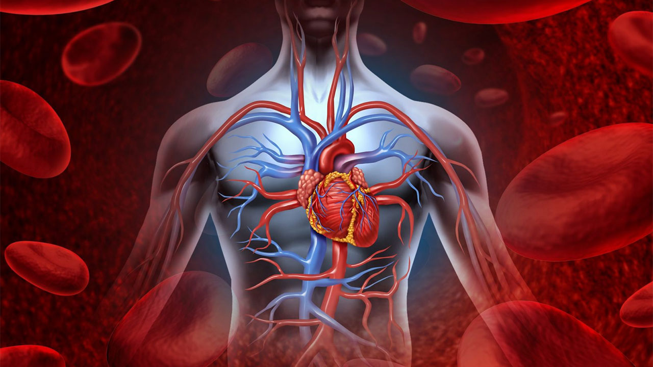 Hastalık Düşman  Değil, Mesajdır 