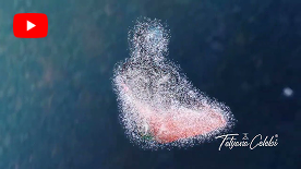 Tetyana Çelebi Youtube